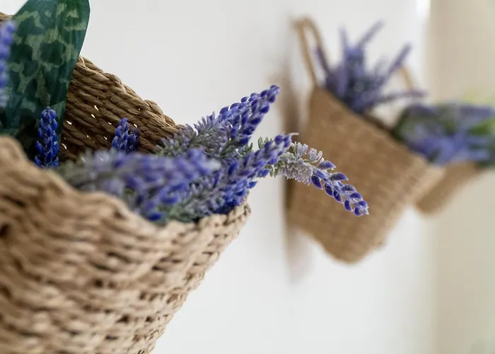 Stergios_apartments 01 Apartamento *